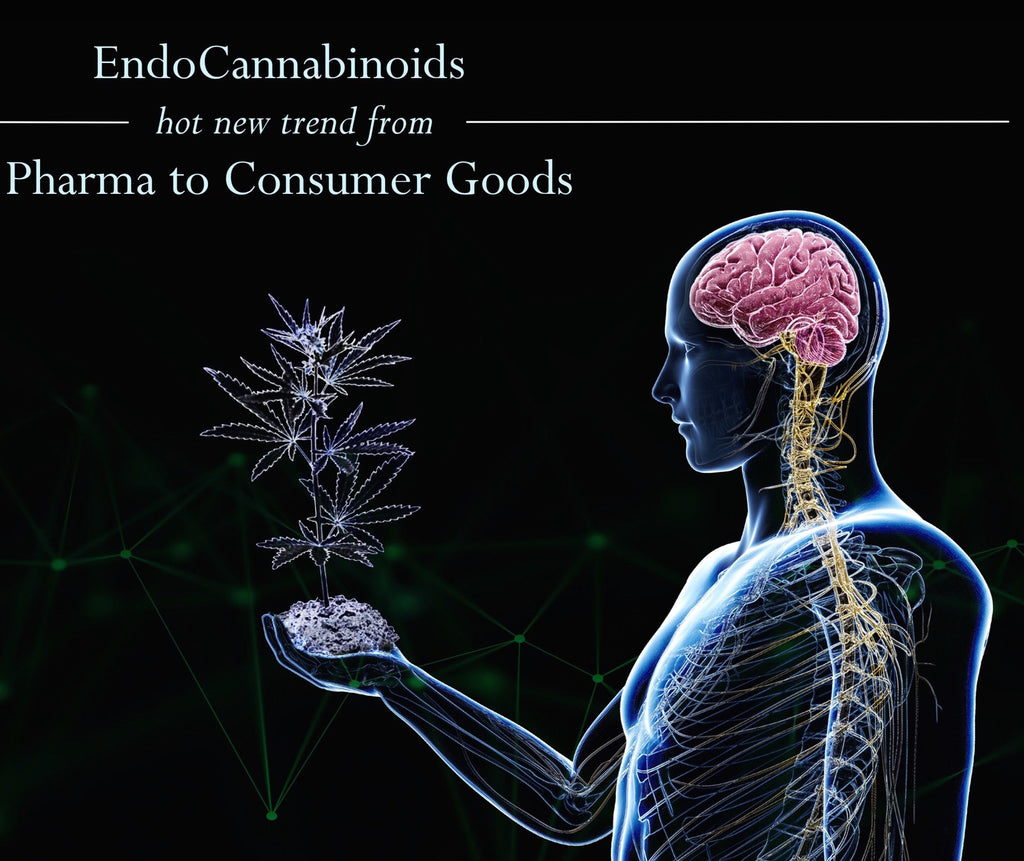 EndoCannabinoids: new hot trend from Pharma to Consumer goods