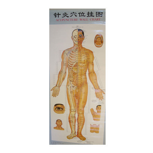 Acupuncture Points Wall Charts Diagrams (set of 3 charts)
