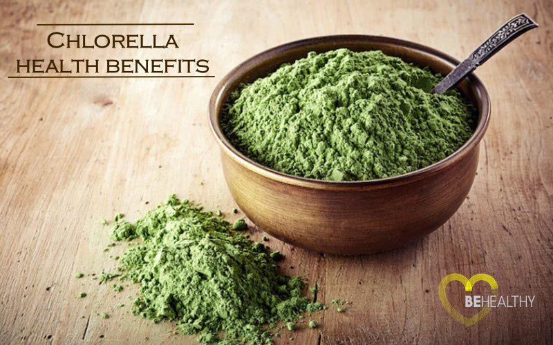 Chlorella: Benefits, Side Effects, and Everything In Between
