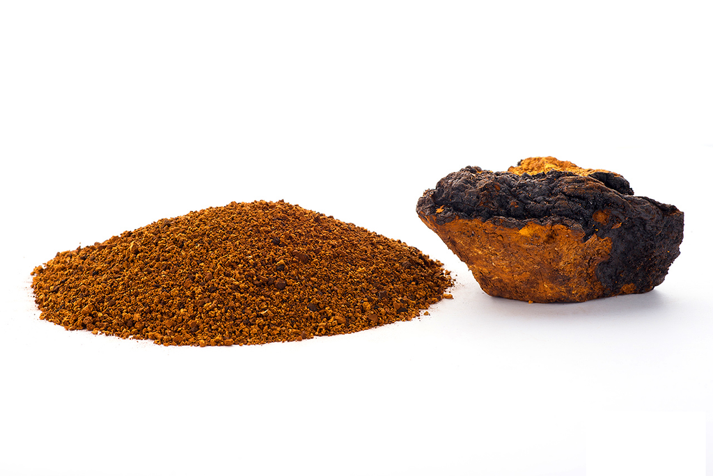 Chaga tea, 100 g