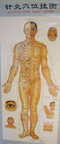 Acupuncture Points Wall Charts Diagrams (set of 3 charts)