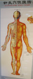 Acupuncture Points Wall Charts Diagrams (set of 3 charts)